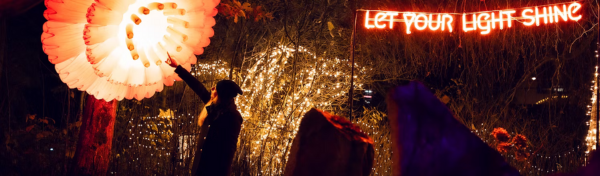 Victoria at Dusk header